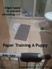 Paper shredding, stool eating puppy, email advices. toapayohvets, singapore 