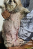 zoletil 50 + isoflurane oxygen anaesthesia old dog breast tumour excision toapayohvets, singapore