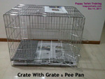 paper training or grate + pee pan training of a puppy. use one method to succeed. toapayohvets, singapore