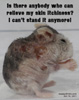 roborovski dwarf hamster, generalised skin infections, ulces, dandruff, scales, toapayohvets, singapore