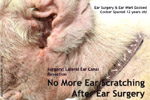 Old Cocker Spaniel, ear scratching for 9 years. Solution: Lateral ear canal resection. toapayohvets, singapore