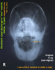 http://www.kongyuensing.com/cgi/20120217tn_sheltie-12years-persistent-purulent-yellow-green-nasal-discharge-x-ray-toapayohvets-singapore.jpg