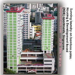 Housing & Development Board (HDB) Apartments, downtown, Singapore