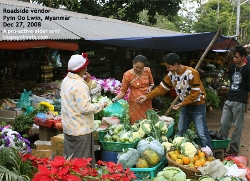 Myanmar, Pyin Oo Lwin, Buying fruits from a roadside vendor. Toa Payoh Vets 