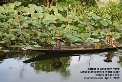 Myanmar. Unpolluted Lake Inle, Mum rows daughter home, 5pm. Oct 2008. Asiahomes.com