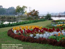 Photograph, National Kandawgyi Gardens, Pyin Oo Lwin, Myanmar. Toa Payoh Vets  