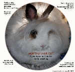 Rabbit hairball  Toa Payoh Vets  