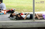 Marina Barrage Afternoon Nap, Singapore, toa payoh vets