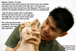 oro-nasal fistula, carnaissal abscess, 15-year-old singapore toa payoh vets 