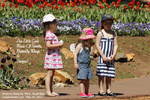 Little Girls, Spring, 2010, Araluen Botanic Park, Australia, Toa Payoh Vets