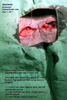 Old chihuahua, mammary gland 3 tumour surgery domitor ketamine toapayohvets singapore