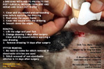 Neuter post-operation dressing care, anaesthesia, Shih Tzu Male 7 years, toapayohvets, singapore