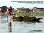 Inle_Lake_fisherman_leg_paddling_Designtravel